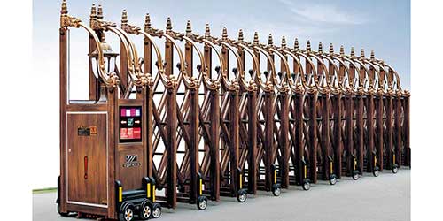 東方神龍網花一號